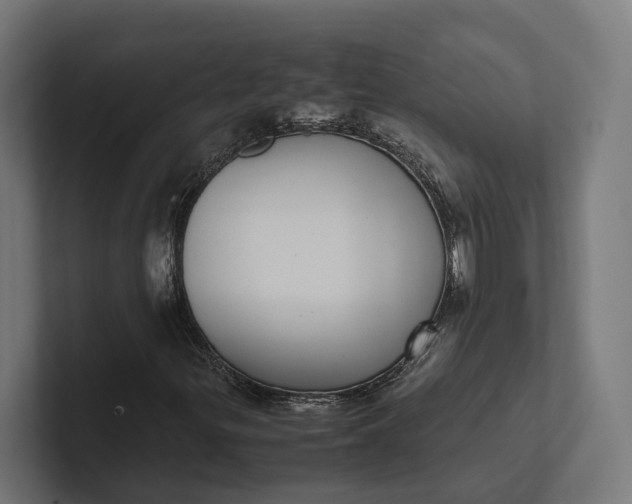 X0000101991299200808011053