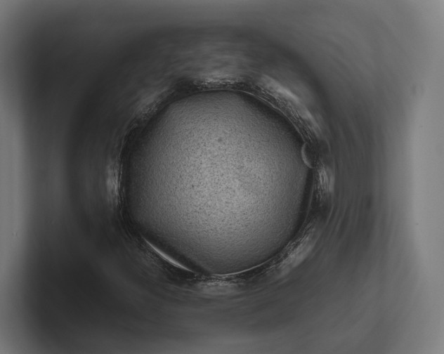 X0000101991300200808011053