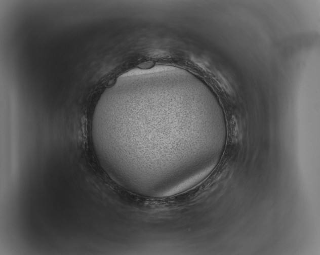 X0000101991301200808011053