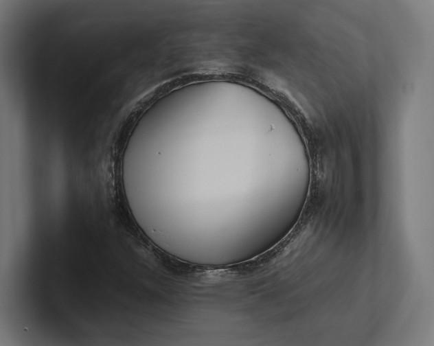 X0000101991304200808011053