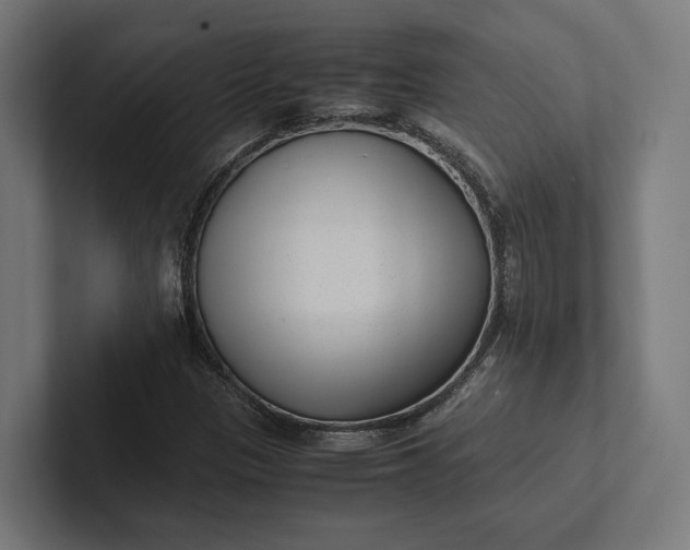 X0000101991305200808011053