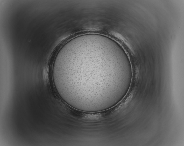 X0000101991307200808011053