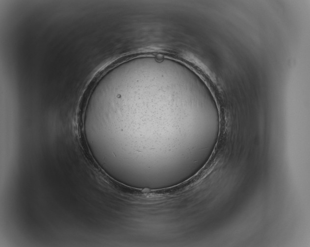 X0000101991308200808011053