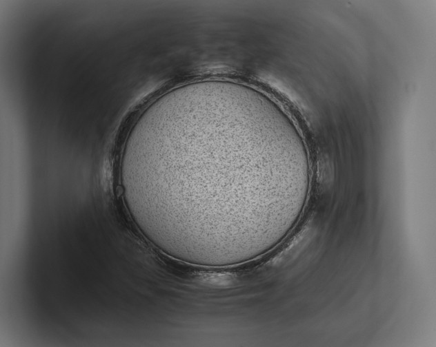 X0000101991309200808011053