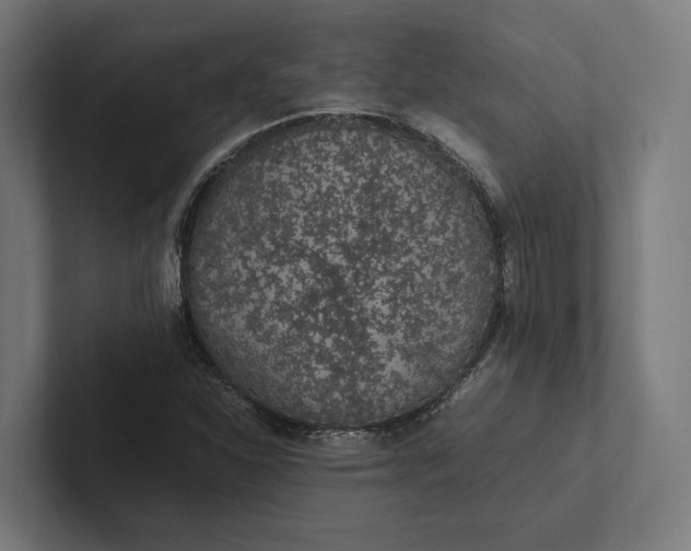 X0000101991310200808011053