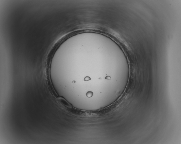 X0000101991312200808011053