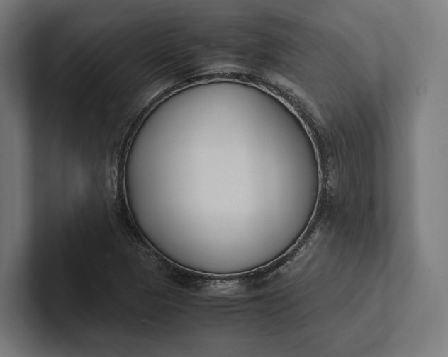 X0000101991313200808011053