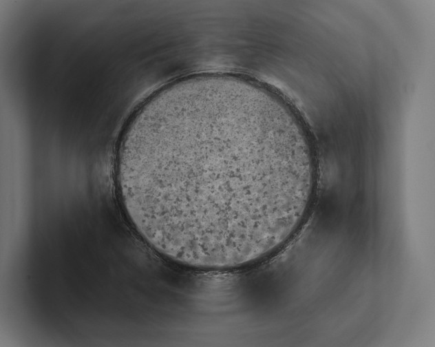 X0000101991314200808011053