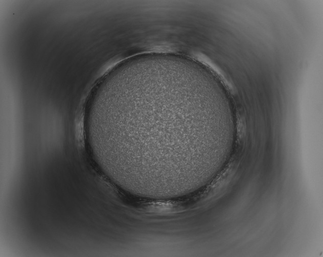 X0000101991315200808011053