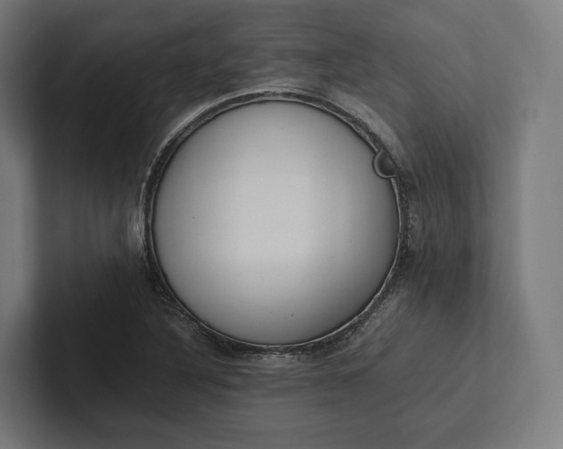 X0000101991316200808011053