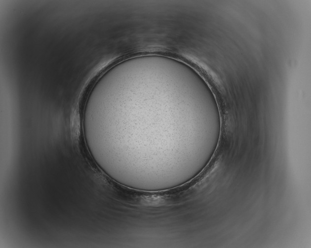 X0000101991317200808011053