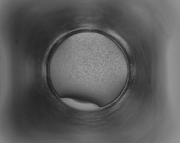 X0000101991318200808011053