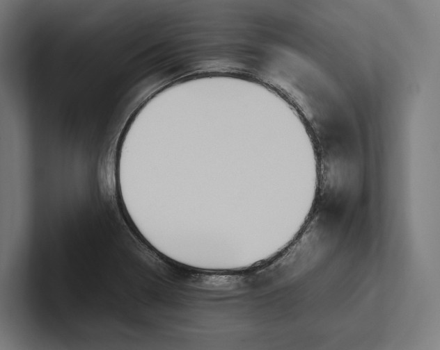 X0000101991322200808011053