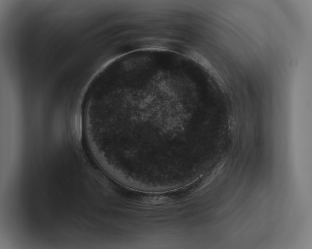 X0000101991323200808011053