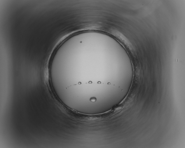 X0000101991324200808011053