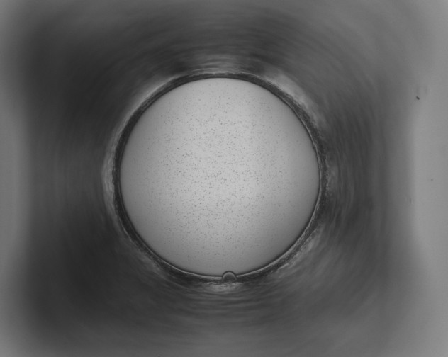 X0000101991325200808011053