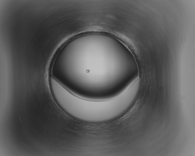 X0000101991326200808011053