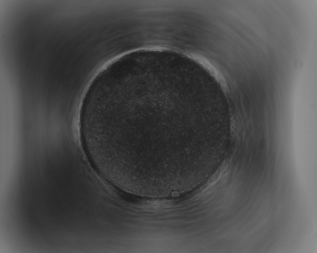 X0000101991327200808011053