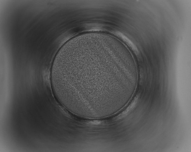 X0000101991329200808011053