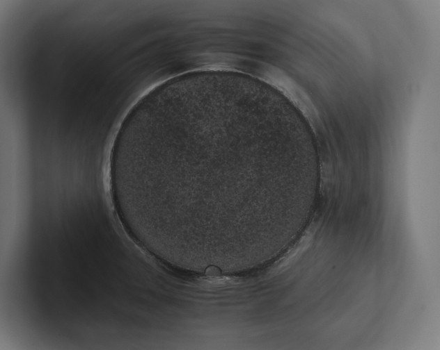 X0000101991331200808011053