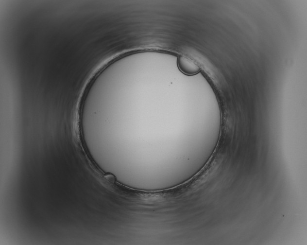 X0000101991332200808011053