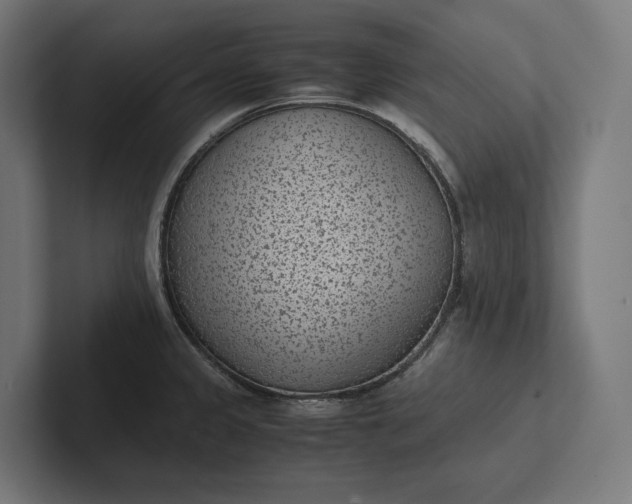 X0000101991333200808011053