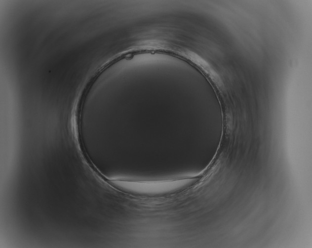 X0000101991334200808011053