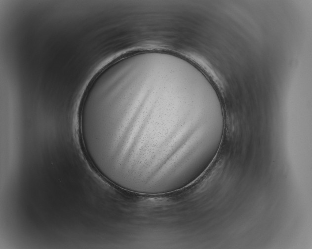 X0000101991335200808011053