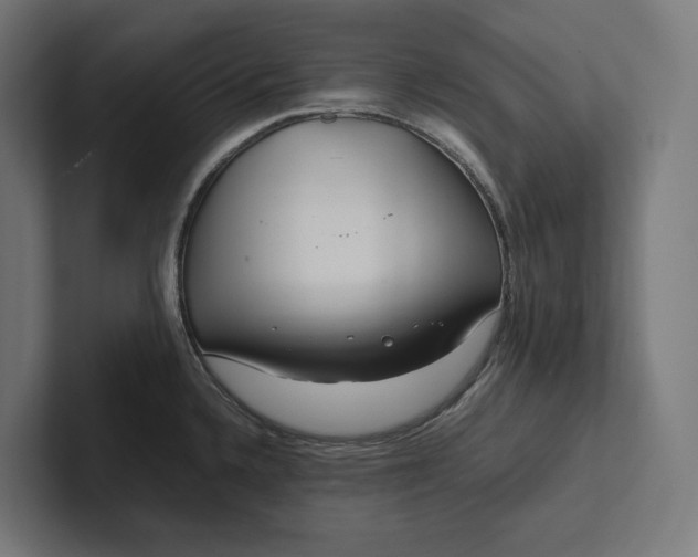 X0000101991336200808011053