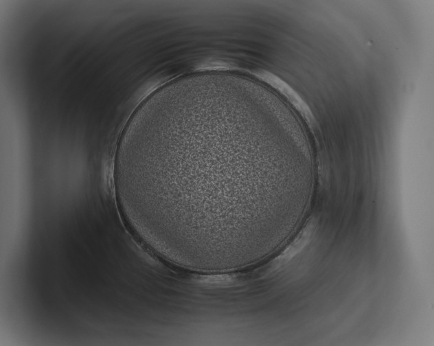 X0000101991337200808011053