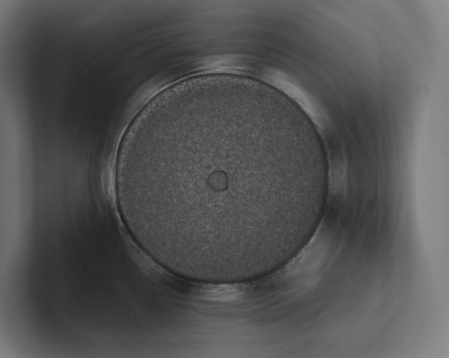 X0000101991338200808011053