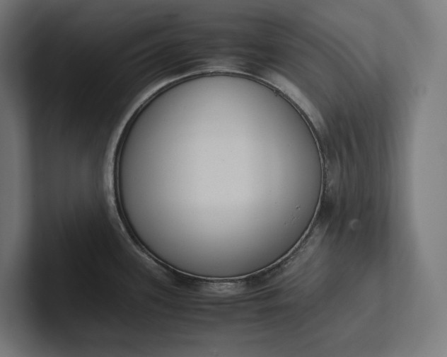 X0000101991339200808011053