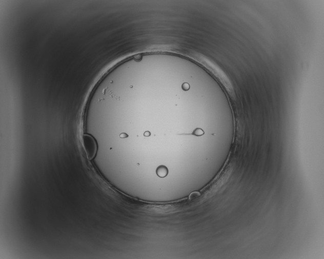 X0000101991340200808011053