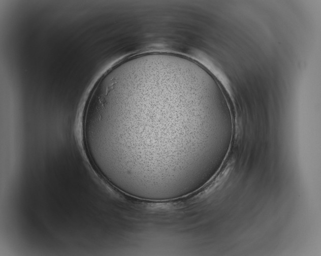 X0000101991341200808011053