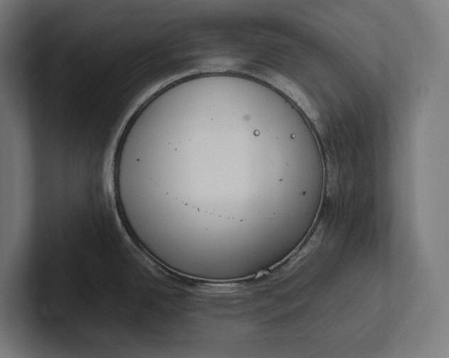 X0000101991342200808011053