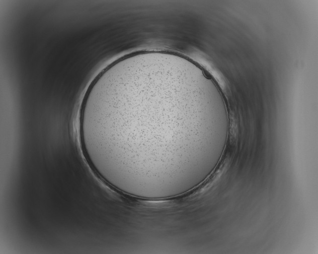 X0000101991343200808011053