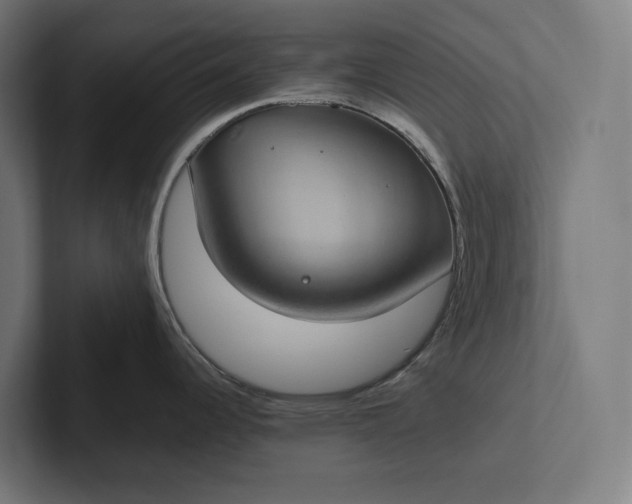 X0000101991344200808011053