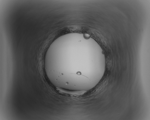 X0000101991345200808011053