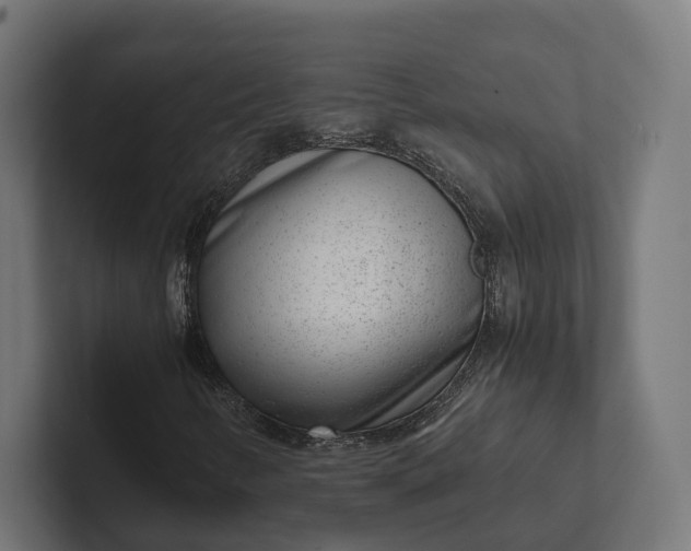 X0000101991346200808011053