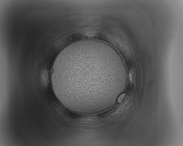 X0000101991347200808011053