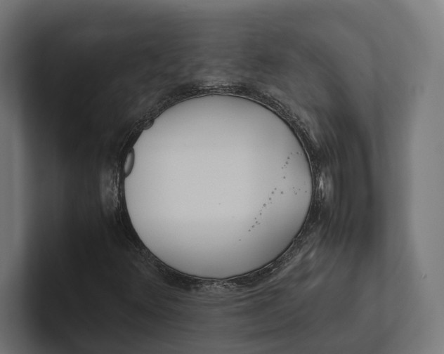 X0000101991348200808011053