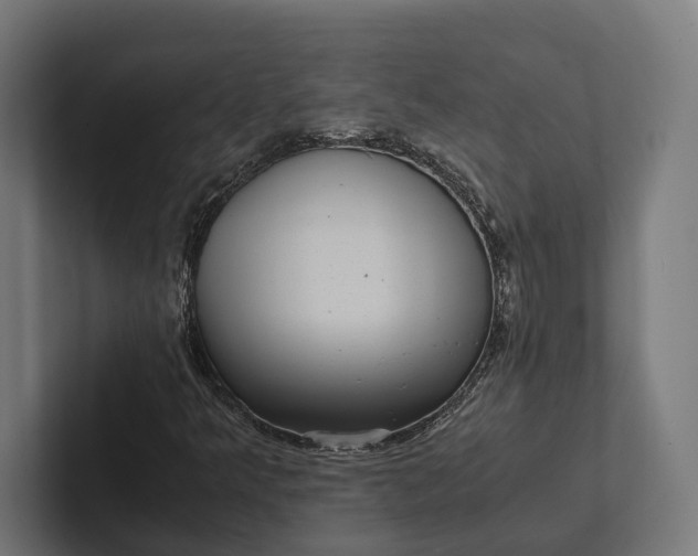 X0000101991349200808011053