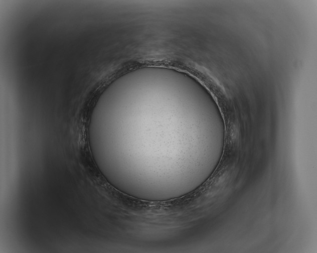 X0000101991350200808011053