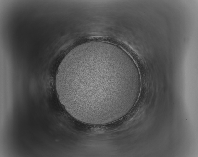 X0000101991351200808011053