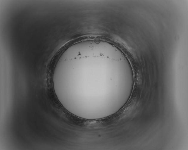 X0000101991352200808011053