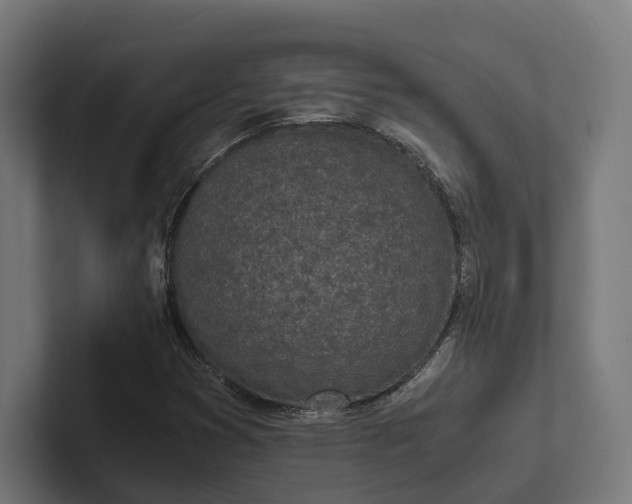 X0000101991353200808011053