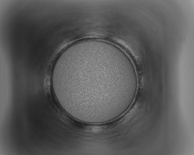 X0000101991355200808011053