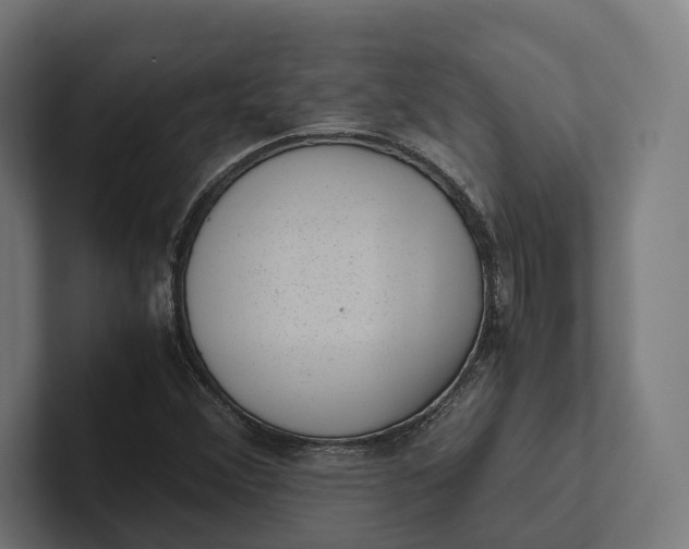 X0000101991356200808011053