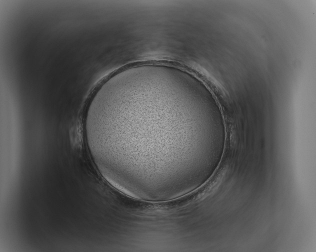 X0000101991358200808011053