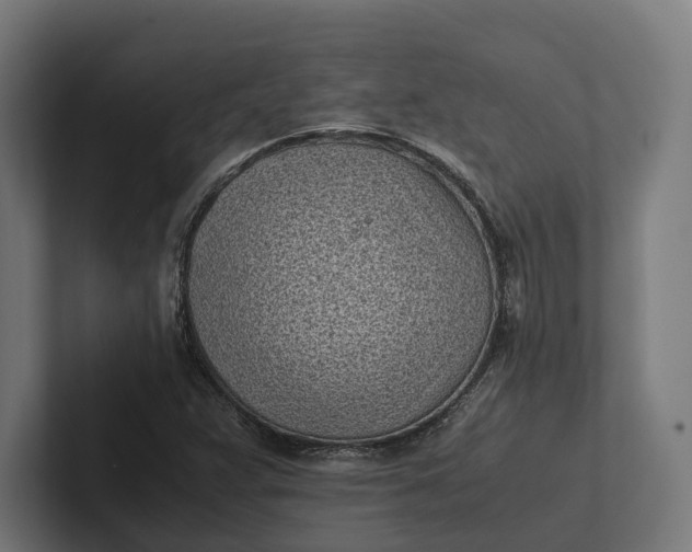 X0000101991359200808011053